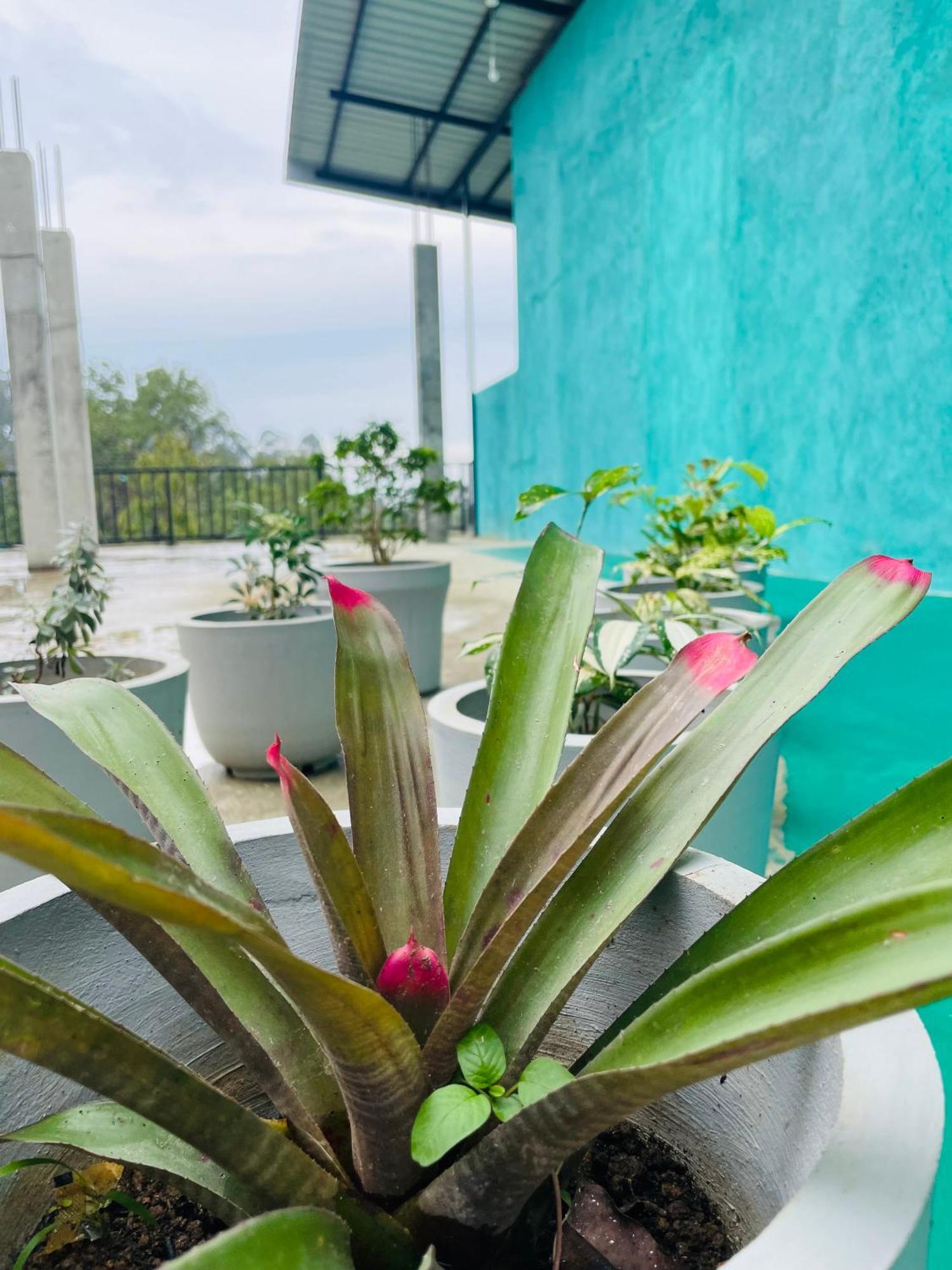 Little Paradise Homestay Ella Exterior photo